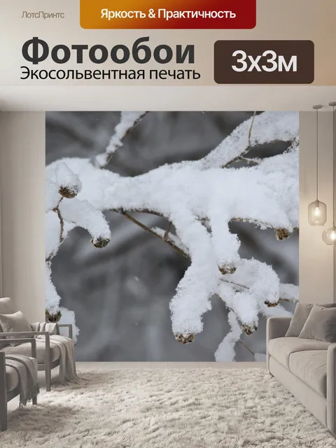 Фотообои Снег покрывает ветви дерева
