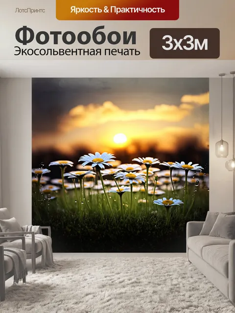 Фотообои группа луговых ромашек на фоне вечернего заката, с желтыми и оранжевыми оттенками