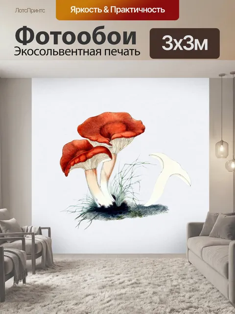 Фотообои Грибы винтаж арт старый