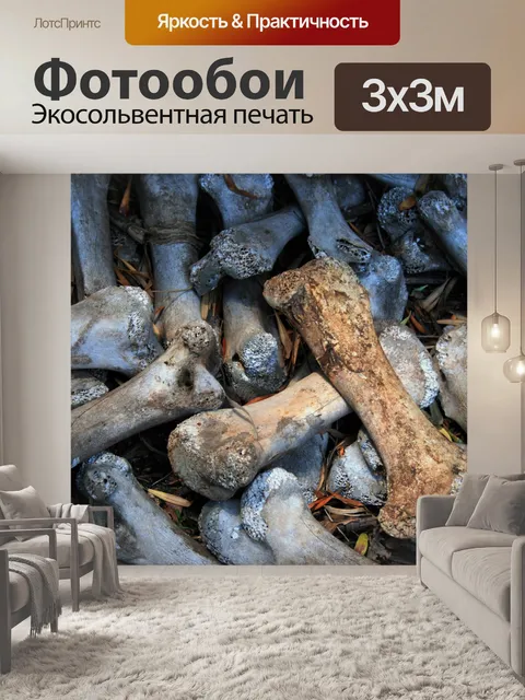 Фотообои отбеленные кости страуса