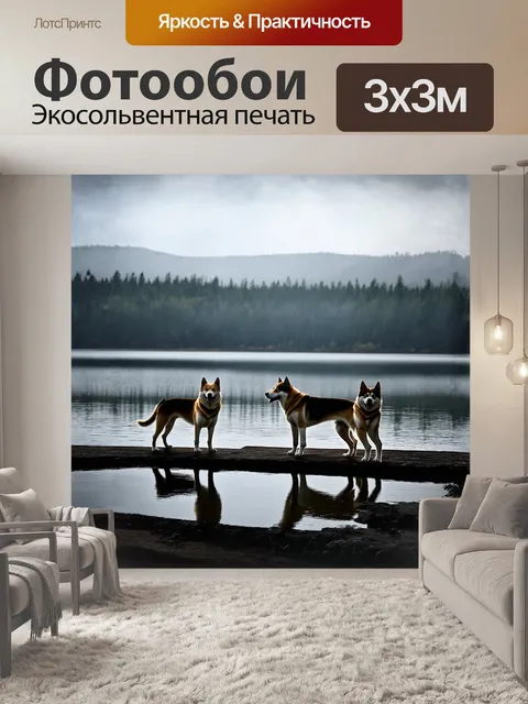 Фотообои акита-ину, стоящие на берегу спокойного озера, отражая свое величие на воде
