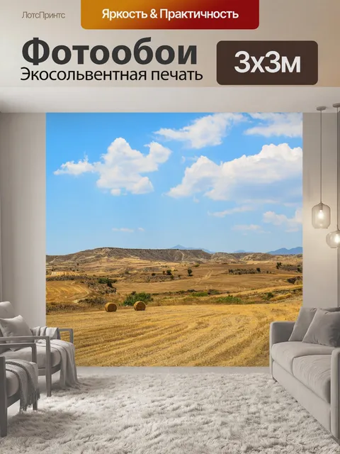 Фотообои Поля ячменя