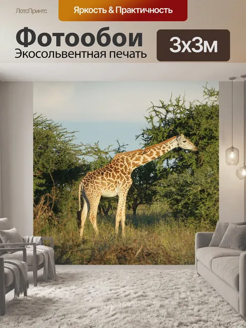 Фотообои Жирафа