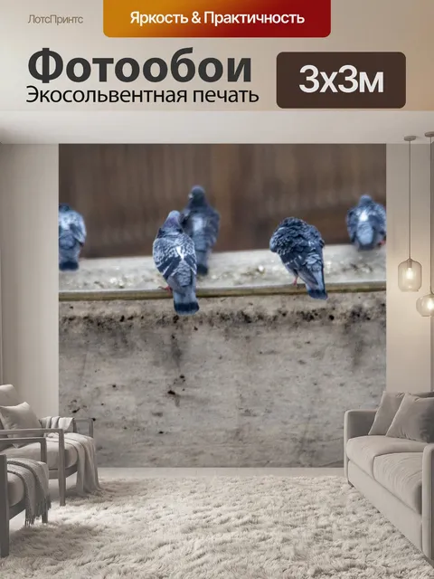 Фотообои Голуби
