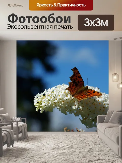 Фотообои Бабочка