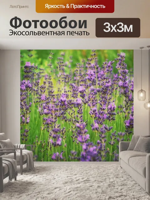 Фотообои Цвет лаванды