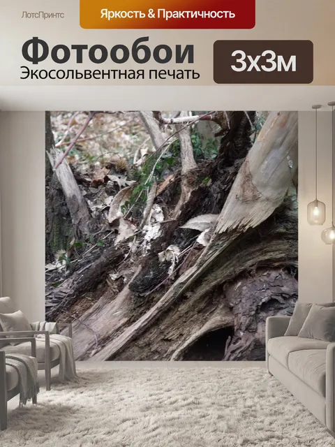 Фотообои Мертвые ствол дерева
