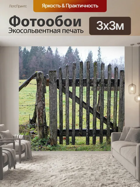 Фотообои Деревянная дверь