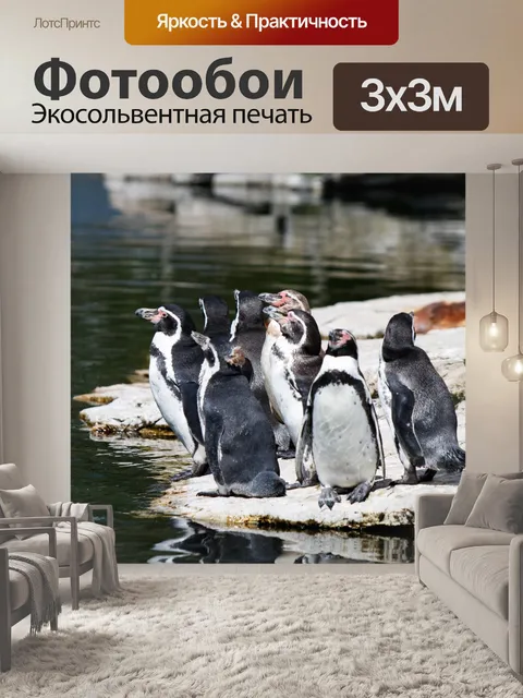 Фотообои Пингвины
