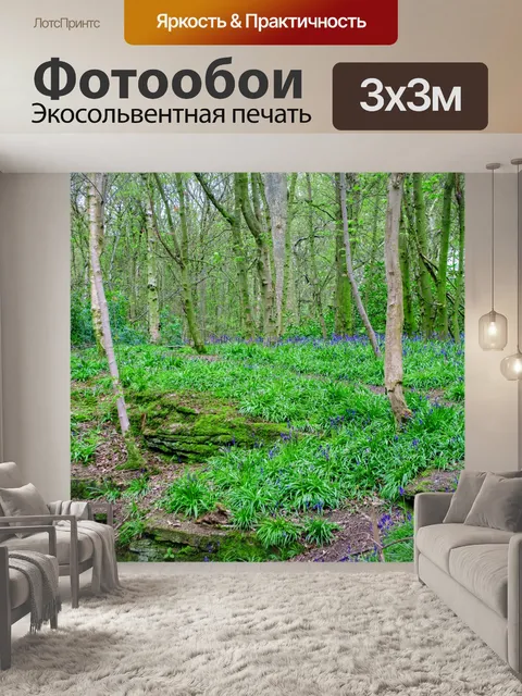 Фотообои Лес