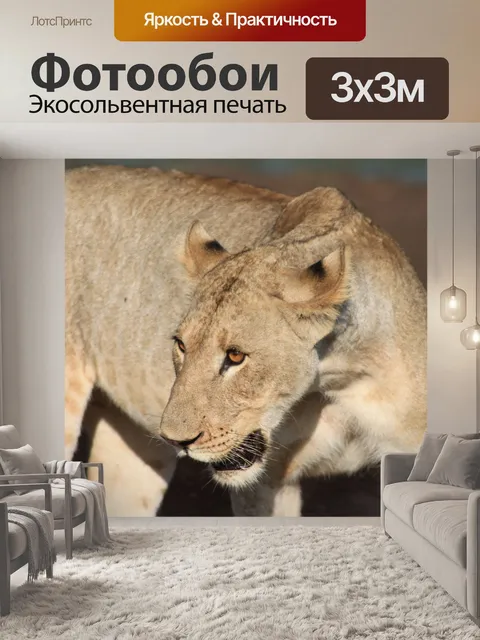 Фотообои Африка