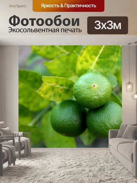 Фотообои Свежие лаймы на липе