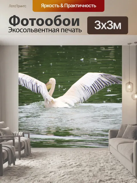 Фотообои Пеликан