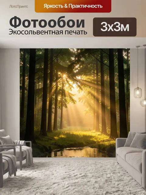 Фотообои Лес с солнечными лучами