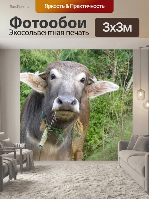 Фотообои Корова