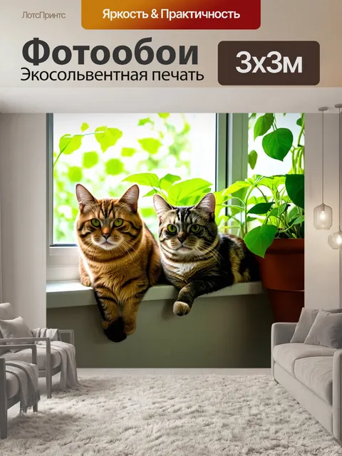 Фотообои кошки, наслаждающиеся солнечными лучами на подоконнике с зелеными растениями