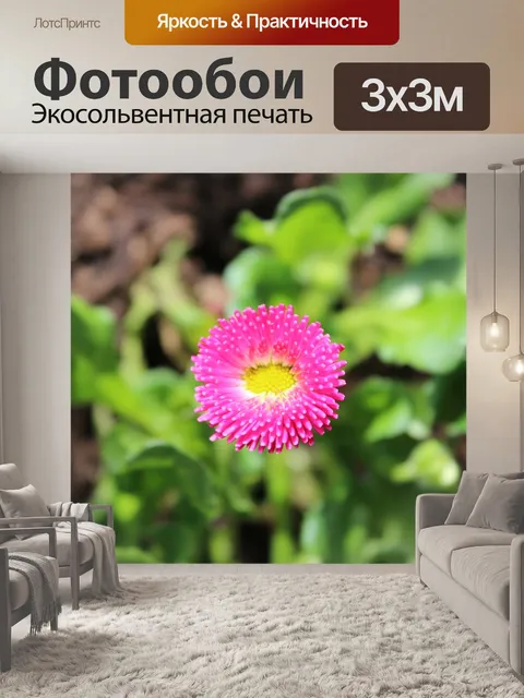 Фотообои Беллис