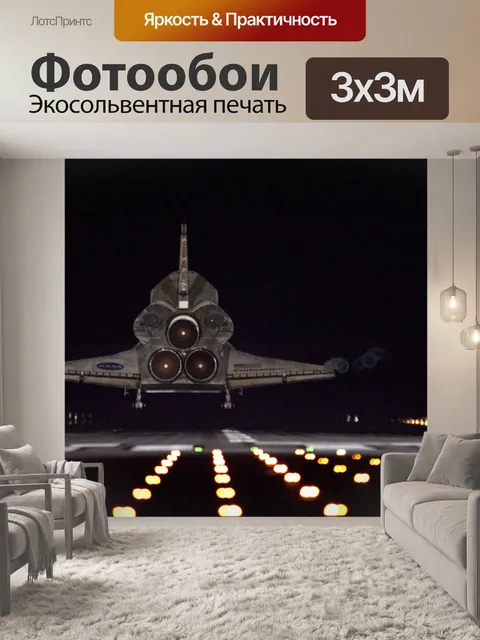 Фотообои Индевор Посадка
