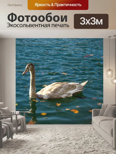 Фотообои Вода