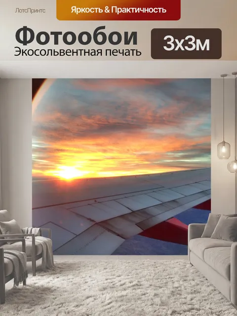 Фотообои Выстрел с крыла 1