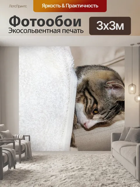 Фотообои Кот