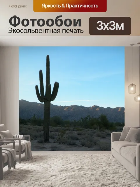 Фотообои Кактус