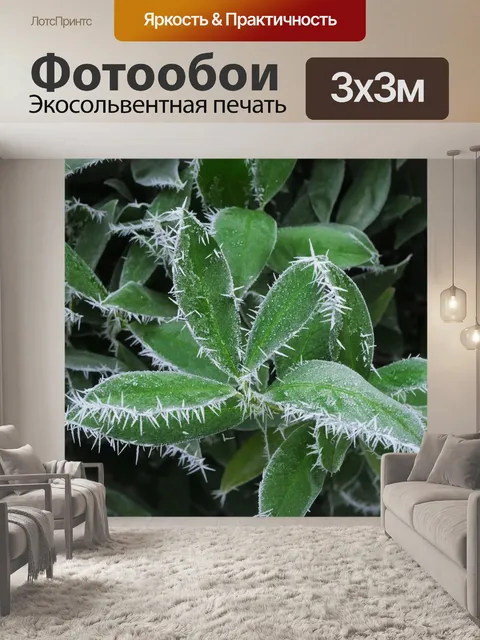 Фотообои Кристаллы льда