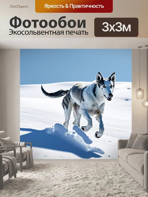 Фотообои борзая, бегающая по заснеженным склонам, создавая следы в чистом белом снегу
