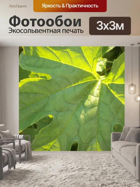 Фотообои Красота в зеленый