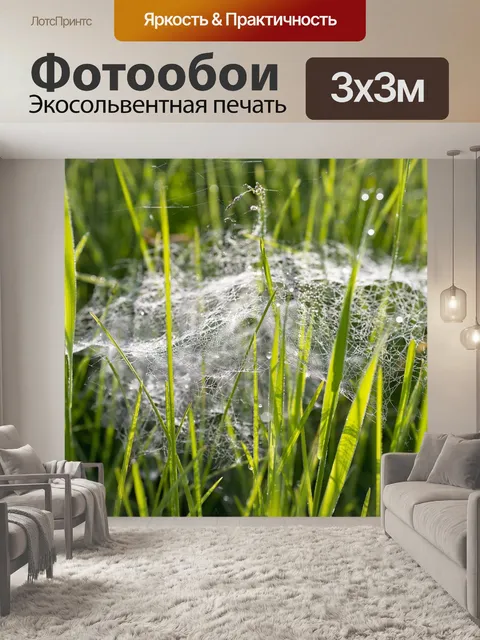 Фотообои Природа