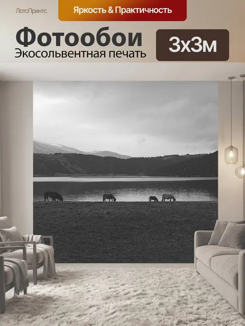 Фотообои Лошади