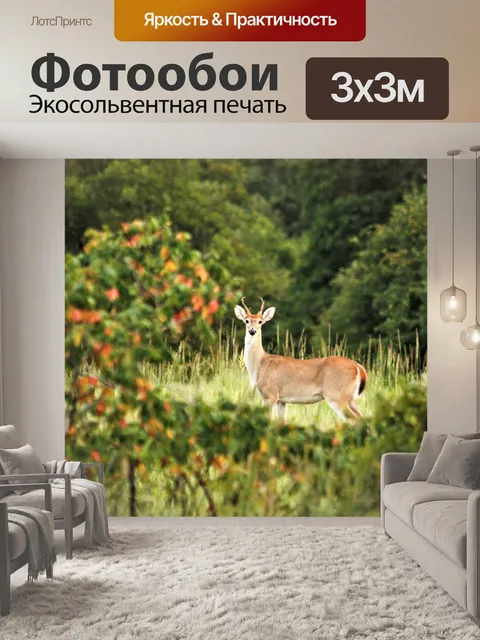 Фотообои Белоснежный олень через деревья