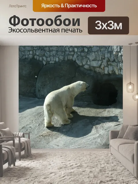 Фотообои Белый медведь