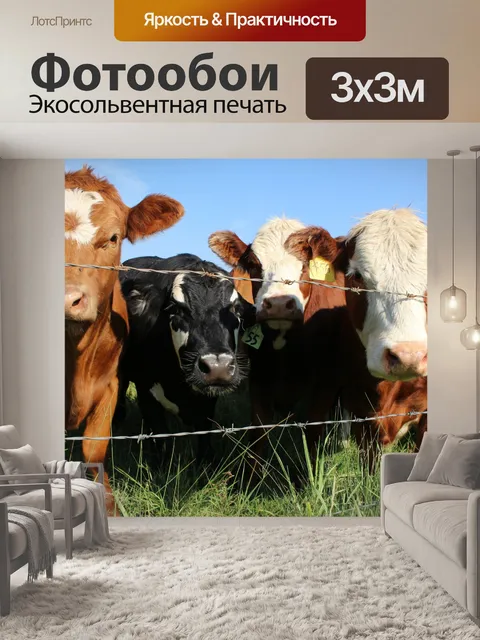Фотообои Стадо коров выгона