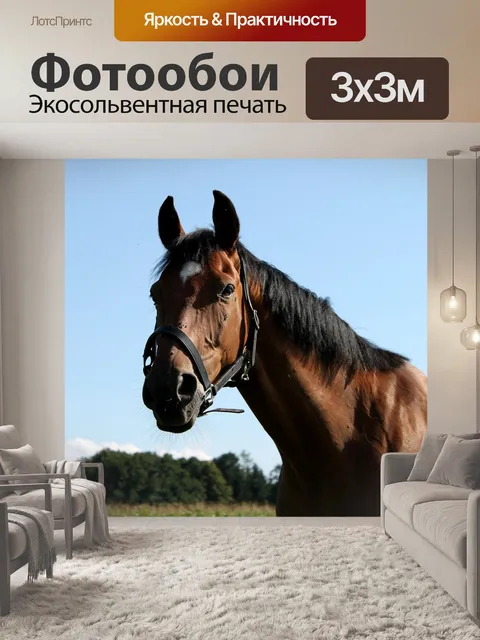 Фотообои Лошадь