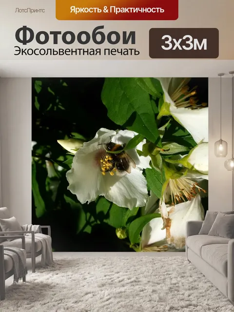 Фотообои Пчела в белом цвете