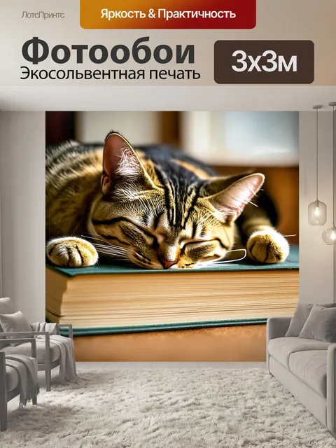 Фотообои кошка, спящая на старой книге