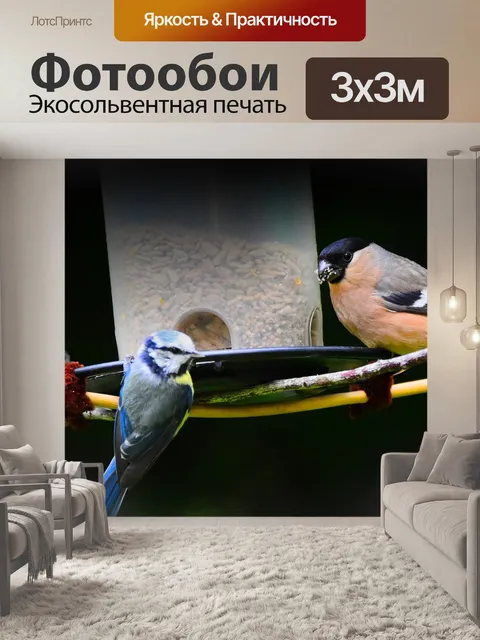 Фотообои Экзотика