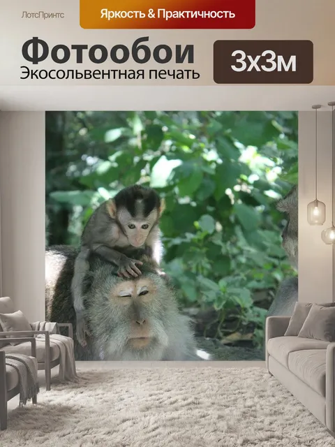 Фотообои Бали