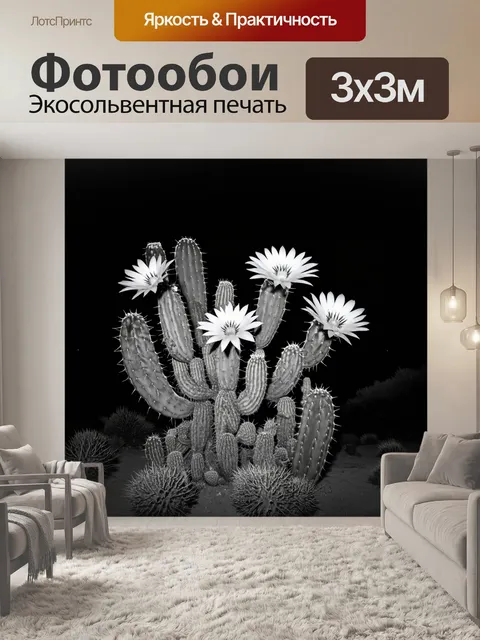 Фотообои черно-белый, изображающие ночное цветение кактусов в пустыне, выполненные в технике художественной…