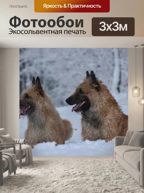 Фотообои Собаки