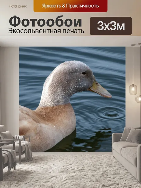 Фотообои Утка в озере