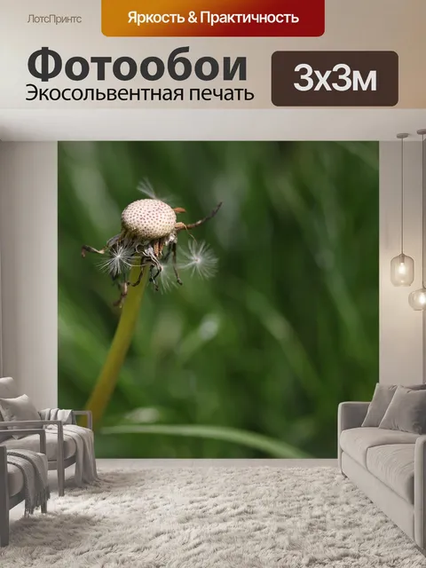 Фотообои Одуванчик