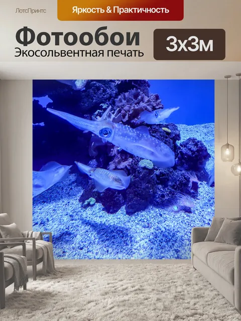 Фотообои Кальмар