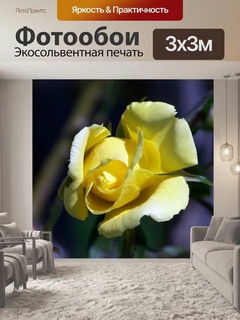 Фотообои Желтая роза