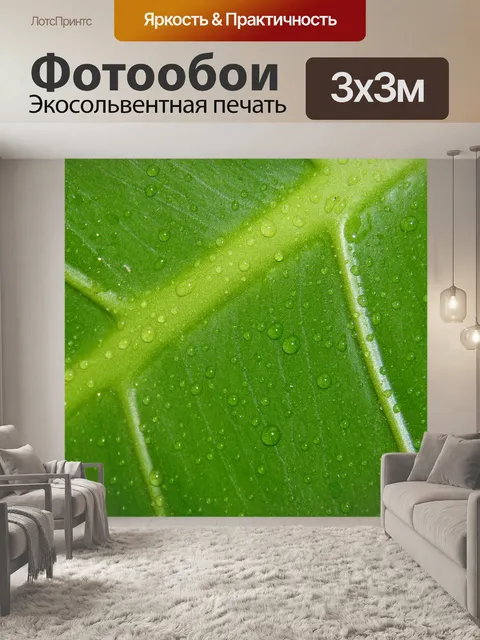 Фотообои Лист