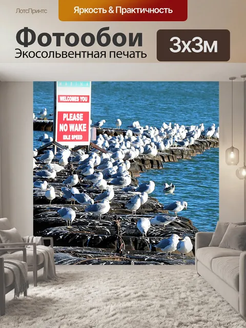 Фотообои Морские чайки отдыхают на плавающих шина