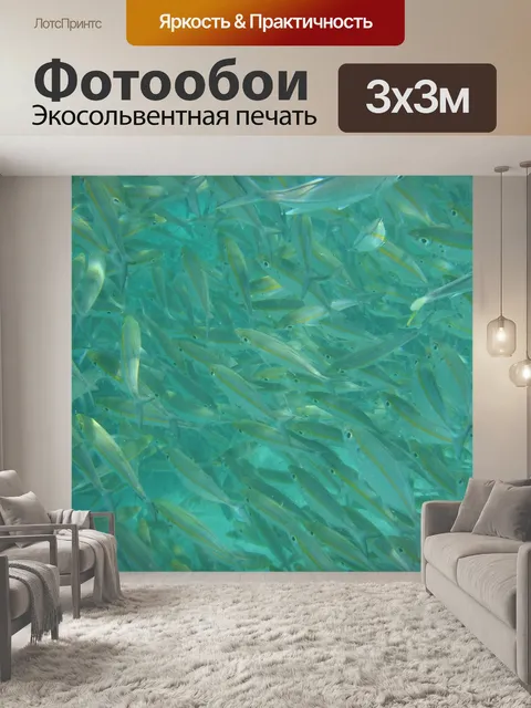 Фотообои Рыбы