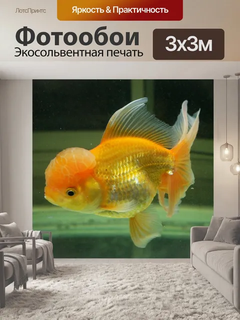 Фотообои Золотая рыбка