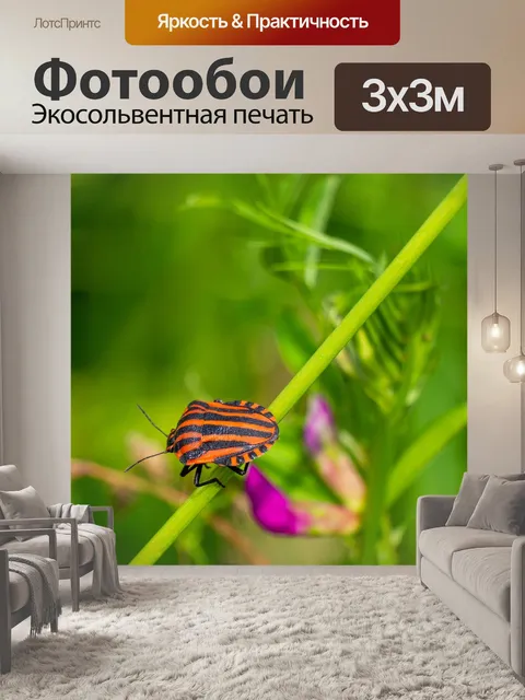 Фотообои Ошибки
